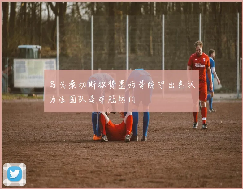 乌戈桑切斯称赞墨西哥防守出色认为法国队是夺冠热门