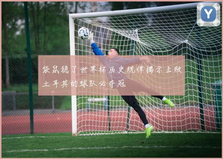 袋鼠稳了世界杯历史规律揭示击败土耳其的球队必夺冠